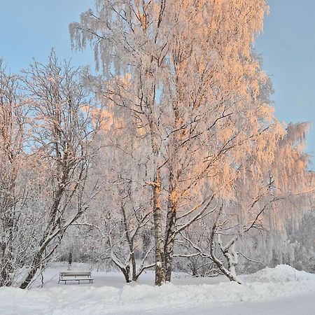 Tilava Uudistettu Perheasunto Lejlighed Rovaniemi Eksteriør billede